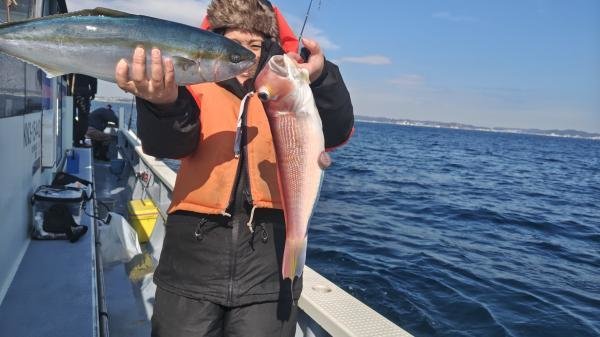 イナダ(ブリ)・アマダイ(アカアマダイ)