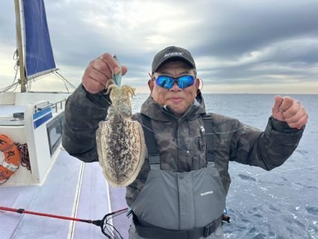 スミイカ(コウイカ)