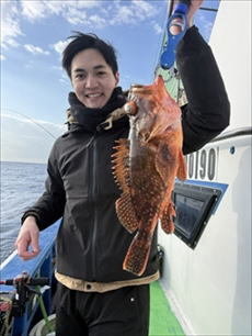 ウッカリカサゴ