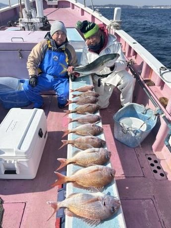 マダイ・ワラサ(ブリ)