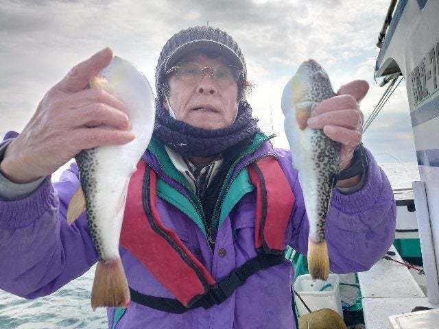 ショウサイフグ