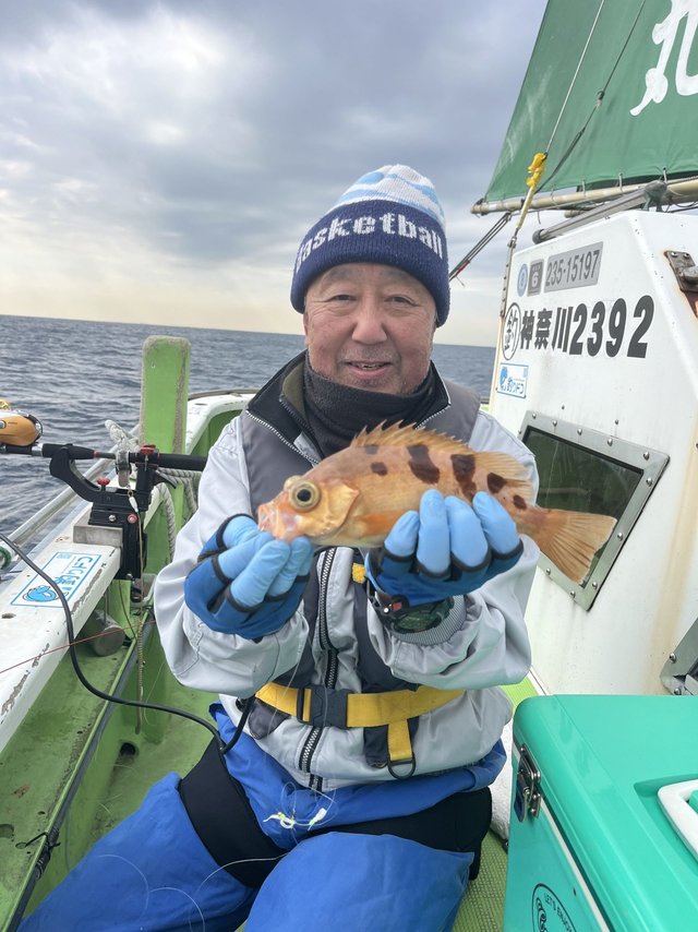 オキメバル(ウスメバル)