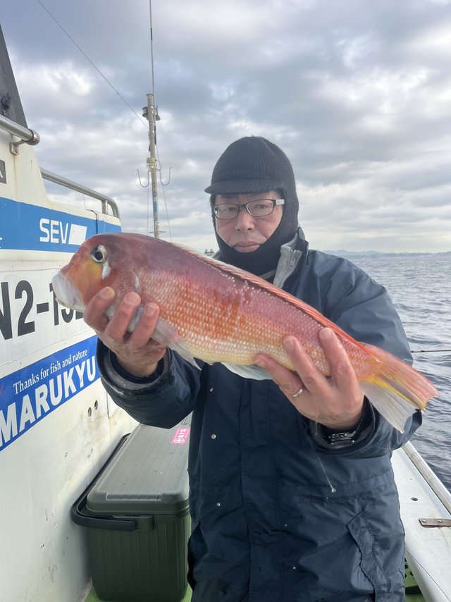 アマダイ(アカアマダイ)