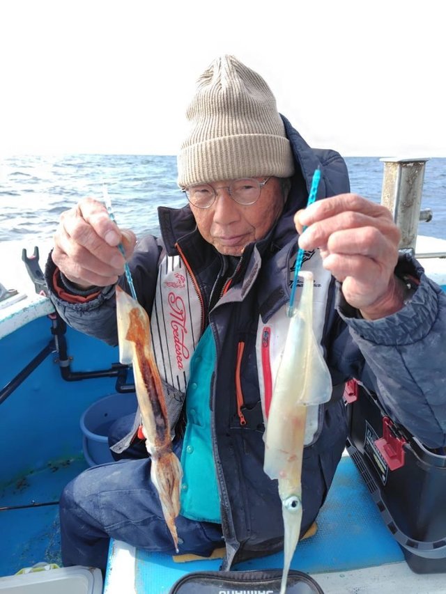 イカ(ケンサキイカ)