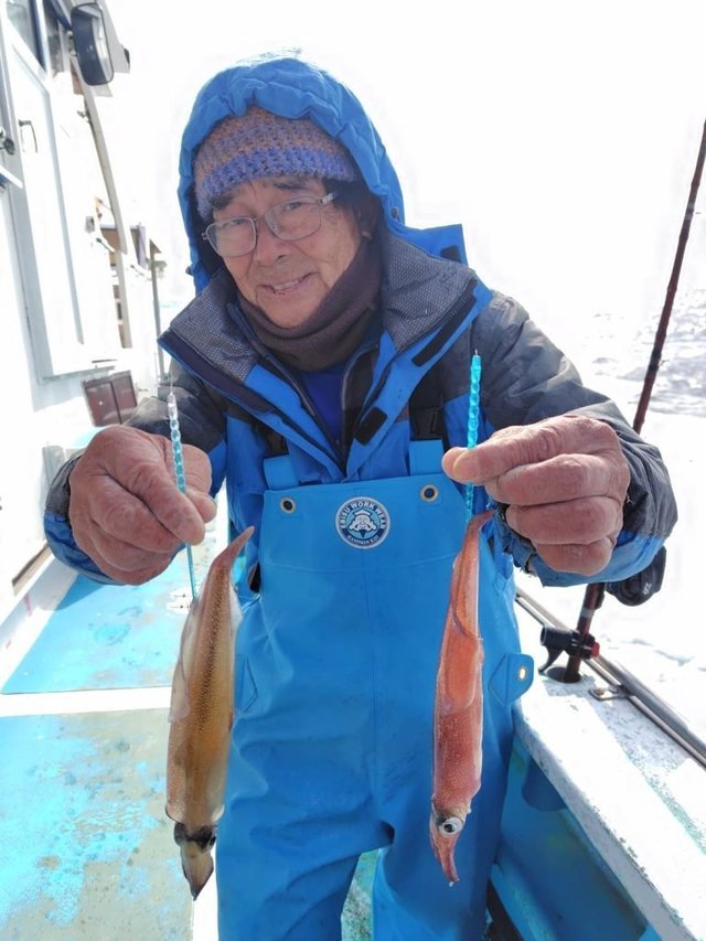 イカ(ケンサキイカ)