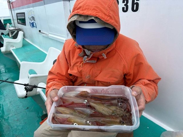 マルイカ(ケンサキイカ)