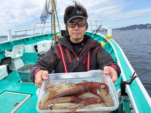 マルイカ(ケンサキイカ)