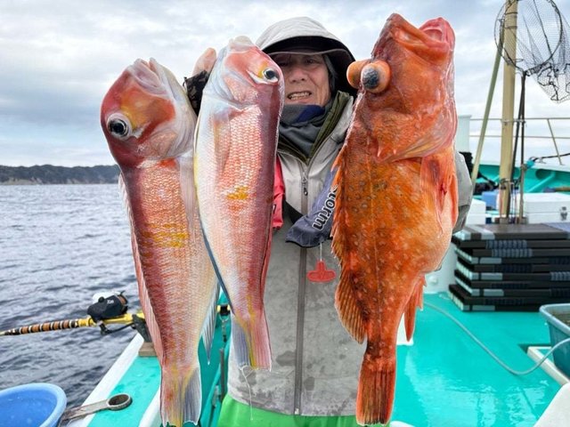 アマダイ(アカアマダイ)・カサゴ