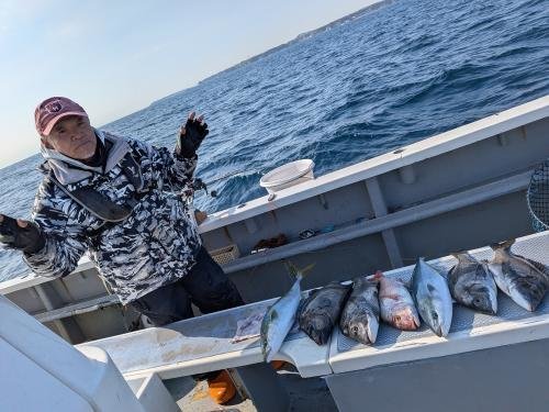 マダイ・クロダイ・イシダイ・イナダ(ブリ)