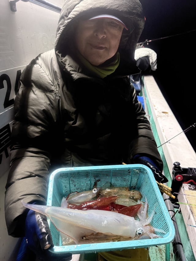 マルイカ(ケンサキイカ)・ヤリイカ