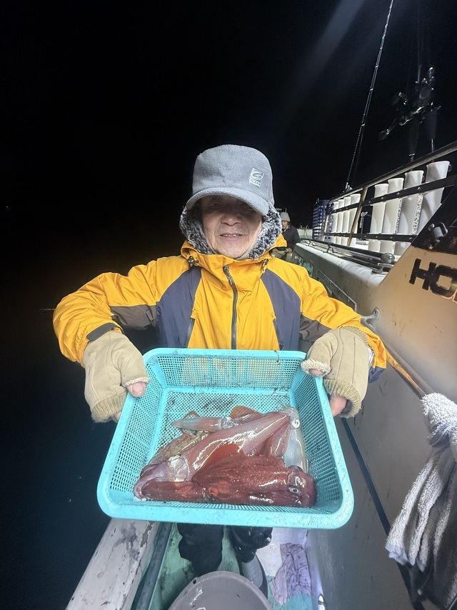 マルイカ(ケンサキイカ)・ヤリイカ