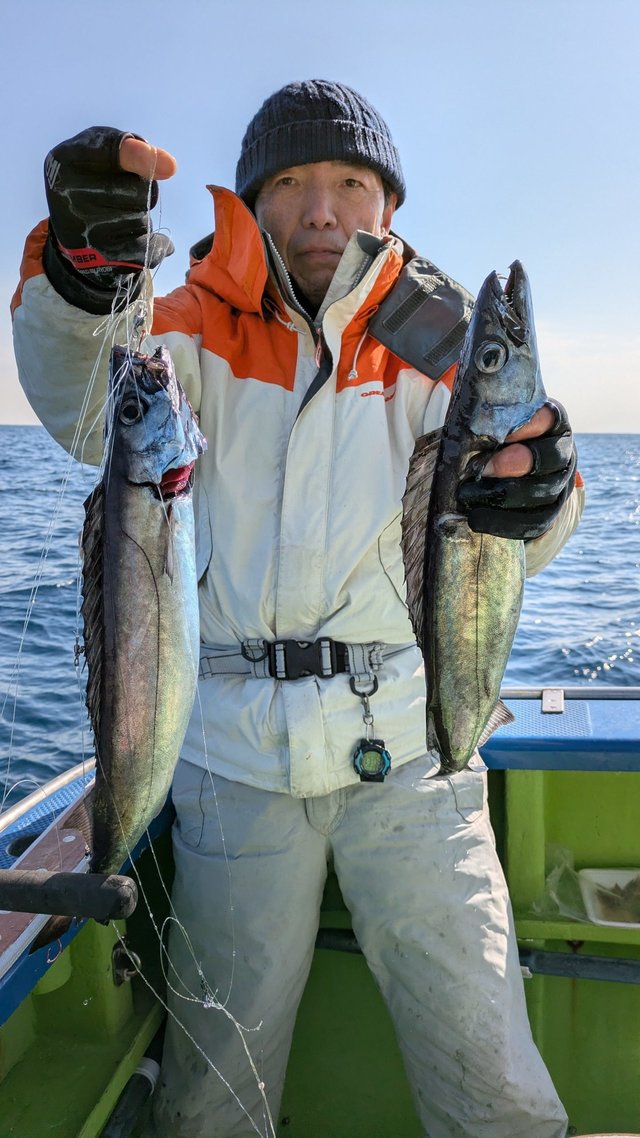 スミヤキ(クロシビカマス)