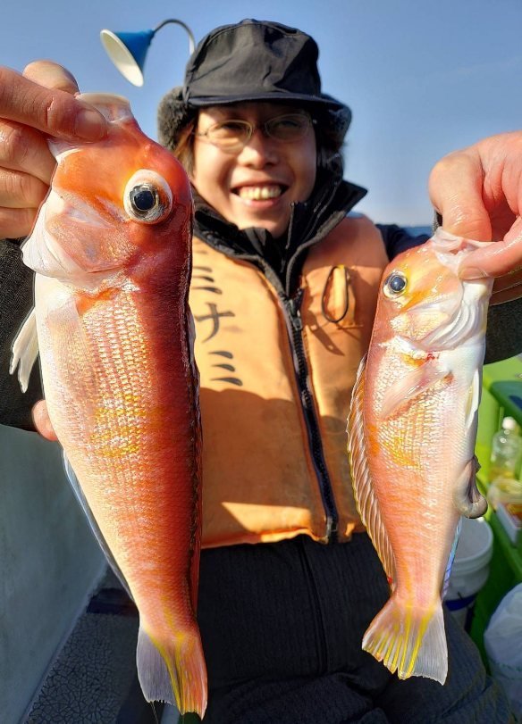 アマダイ(アカアマダイ)