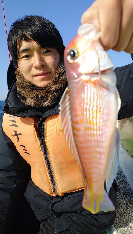 アマダイ(アカアマダイ)