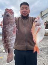 マハタ・タカノハダイ