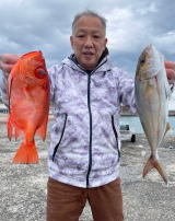 イサキ・キントキ(チカメキントキ)