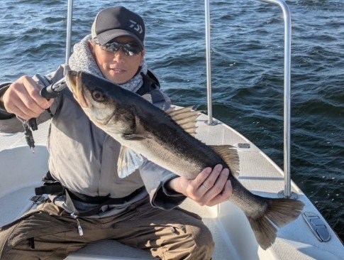 シーバス(スズキ)