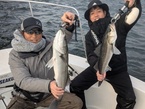 シーバス(スズキ)