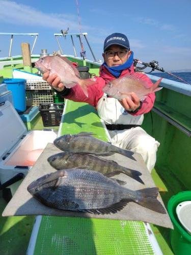 マダイ・クロダイ