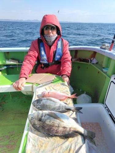 マダイ・クロダイ