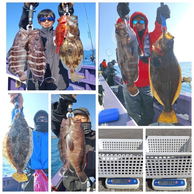 マハタ・ヒラメ