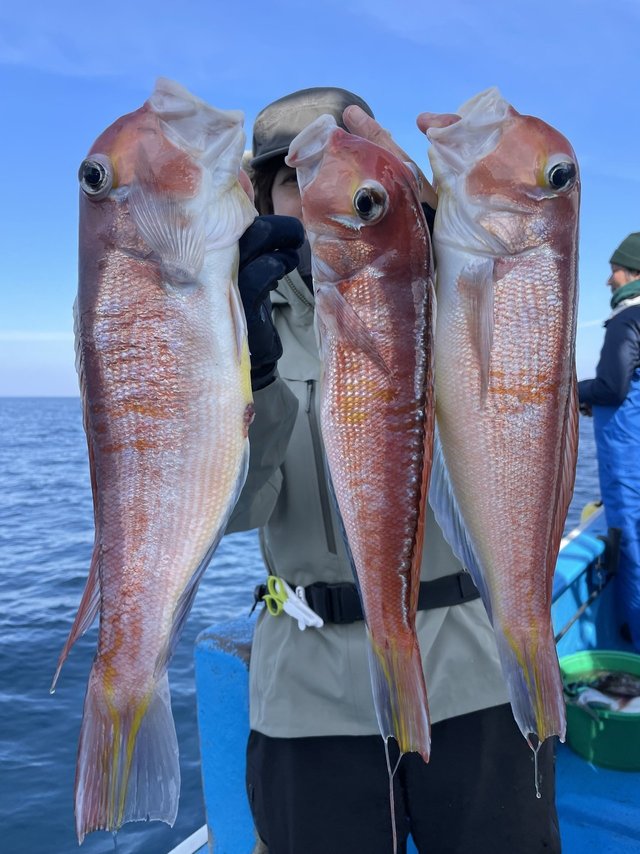 アマダイ(アカアマダイ)