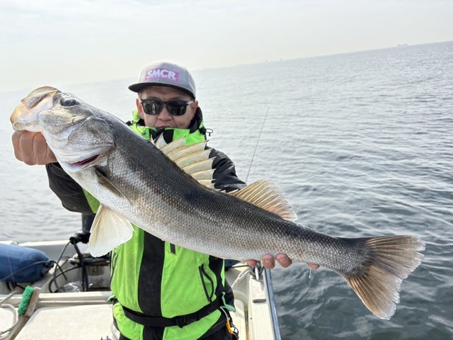 シーバス(スズキ)