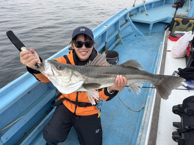 シーバス(スズキ)