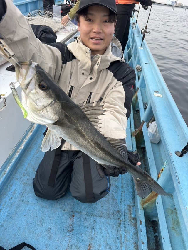 シーバス(スズキ)