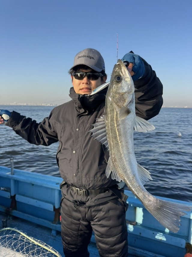 シーバス(スズキ)