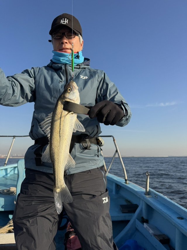 シーバス(スズキ)