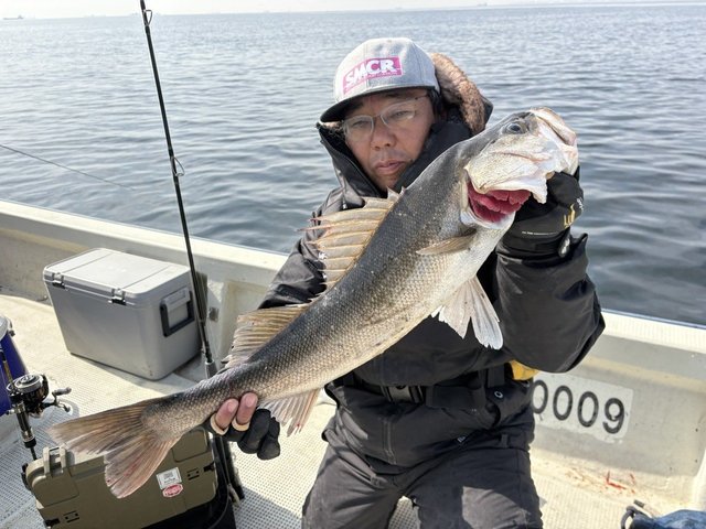 シーバス(スズキ)