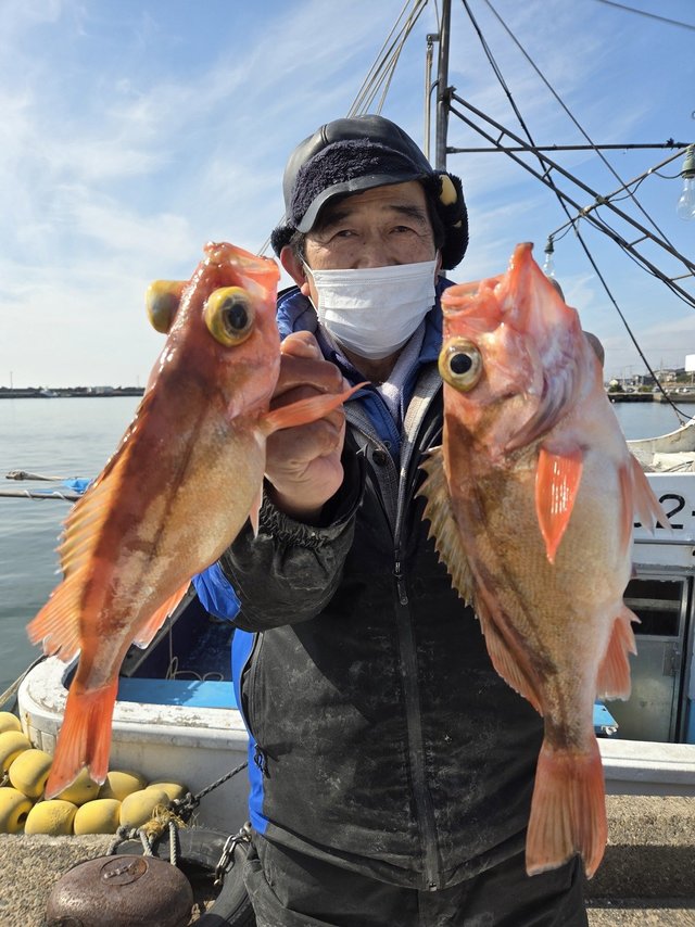 オキメバル(ウスメバル)