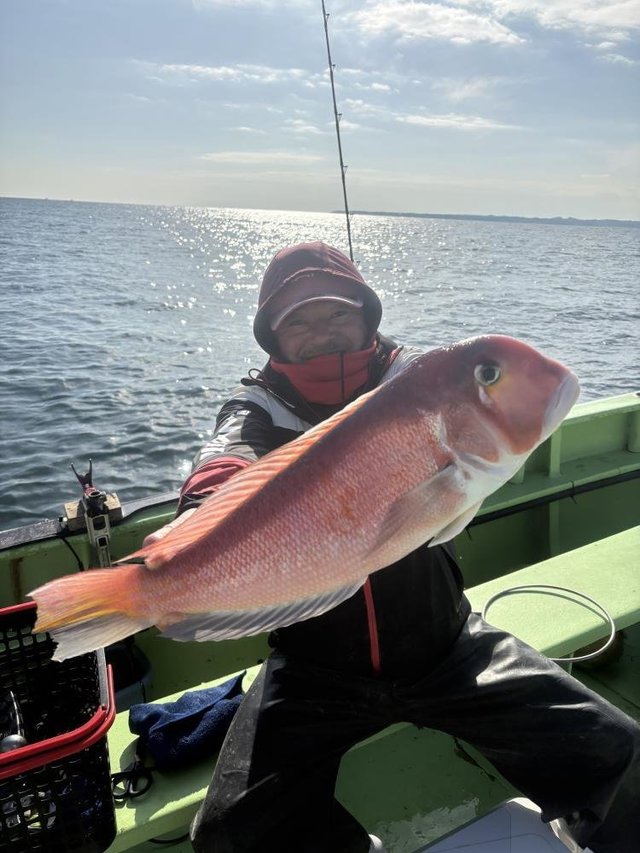 アマダイ(アカアマダイ)