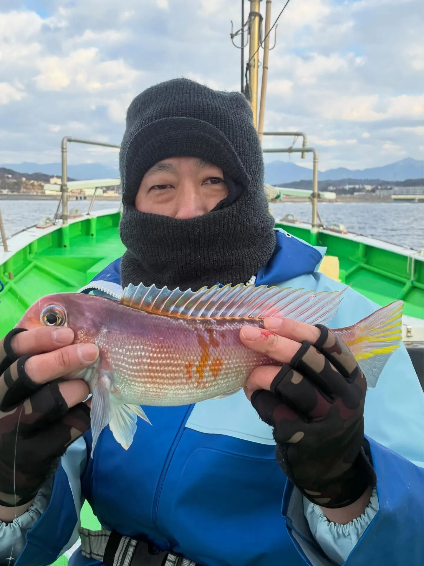 アマダイ(アカアマダイ)