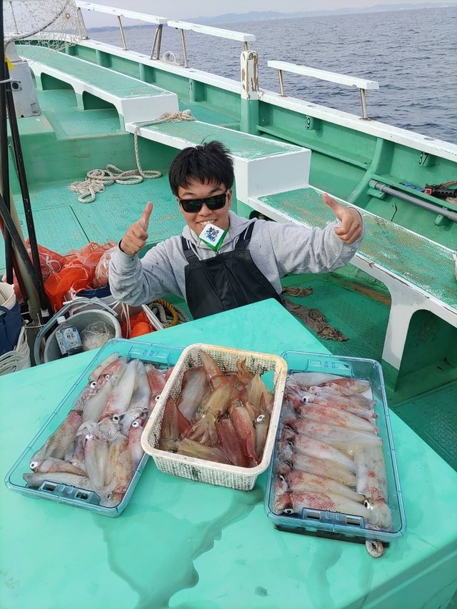 マルイカ(ケンサキイカ)