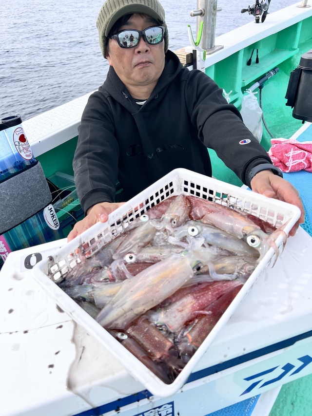 マルイカ(ケンサキイカ)