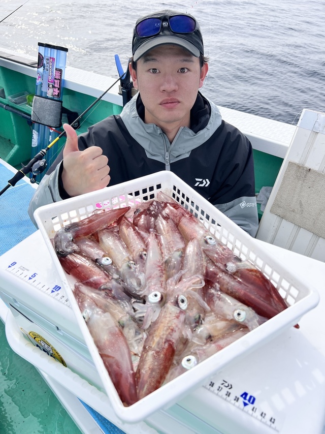 マルイカ(ケンサキイカ)