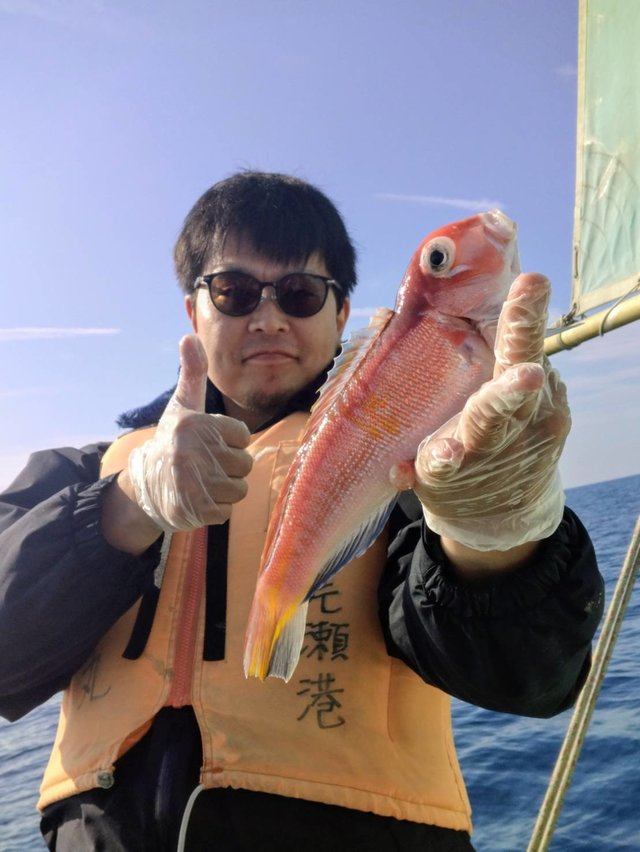 アマダイ(アカアマダイ)