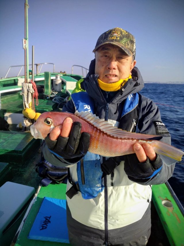 アマダイ(アカアマダイ)