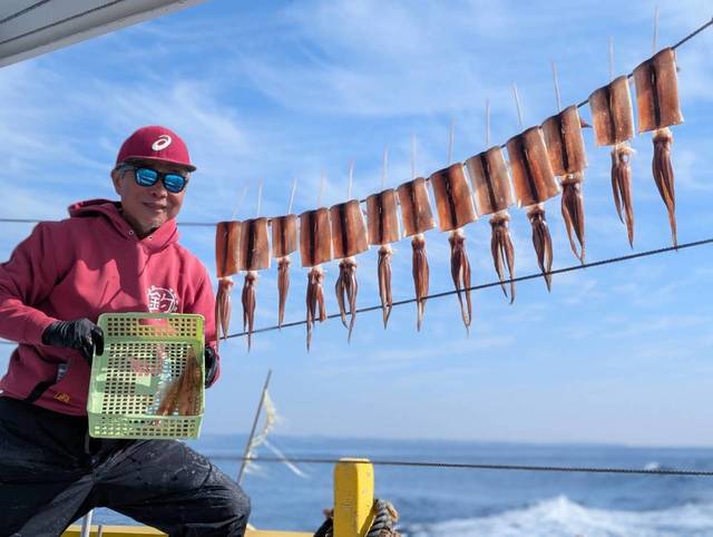 スルメ(スルメイカ)