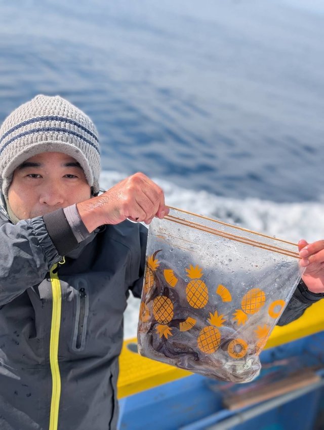 スルメ(スルメイカ)