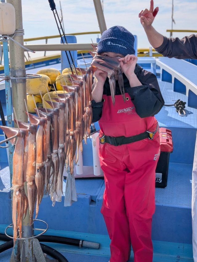 スルメ(スルメイカ)