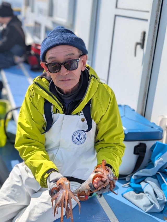 スルメ(スルメイカ)