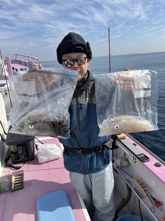 マルイカ(ケンサキイカ)