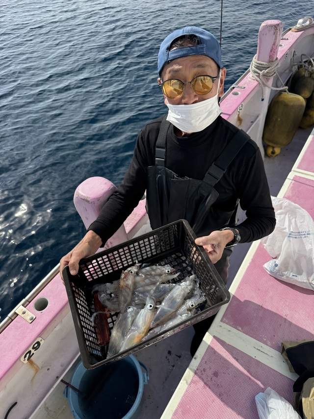 マルイカ(ケンサキイカ)