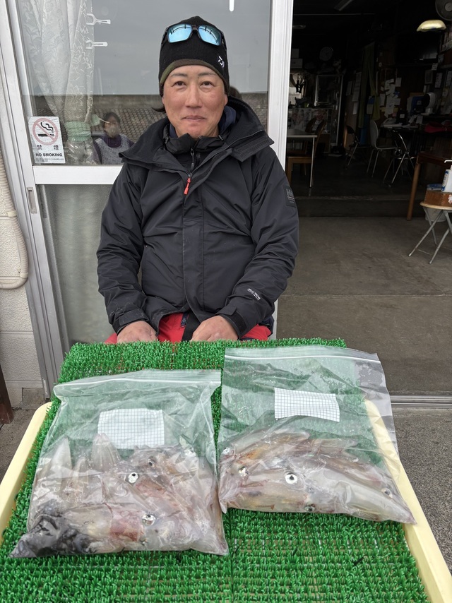 マルイカ(ケンサキイカ)