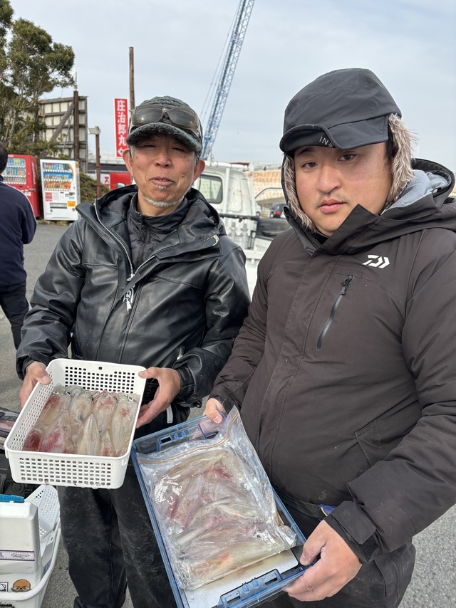 マルイカ(ケンサキイカ)