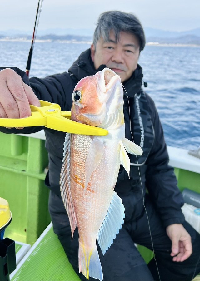 アマダイ(アカアマダイ)