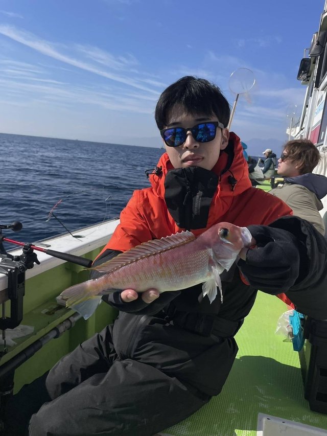 アマダイ(アカアマダイ)